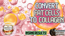 Load image into Gallery viewer, Convert Fat Cells to Collagen (GAME CHANGER!)