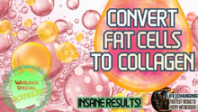 Load image into Gallery viewer, Convert Fat Cells to Collagen (GAME CHANGER!)