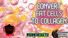 Load image into Gallery viewer, Convert Fat Cells to Collagen (GAME CHANGER!)