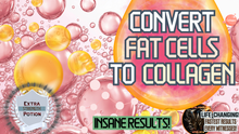 Load image into Gallery viewer, Convert Fat Cells to Collagen (GAME CHANGER!)