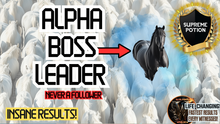 Load image into Gallery viewer, Leader-Alpha-Boss-Enhanced Success Intuition (They Follow the Crowd - YOU DON'T!)