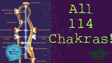 Load image into Gallery viewer, Activate ALL 114 Chakras! (Life Changing)