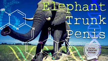 Load image into Gallery viewer, Get An Elephant Trunk Size PENIS Now! Subliminal Subconscious Hypnosis Monaural Beats Binaural Beats Biokinesis Potion
