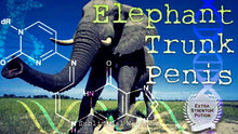 Load image into Gallery viewer, Get An Elephant Trunk Size PENIS Now! Subliminal Subconscious Hypnosis Monaural Beats Binaural Beats Biokinesis Potion