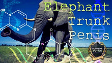Load image into Gallery viewer, Get An Elephant Trunk Size PENIS Now! Subliminal Subconscious Hypnosis Monaural Beats Binaural Beats Biokinesis Potion