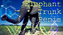 Load image into Gallery viewer, Get An Elephant Trunk Size PENIS Now! Subliminal Subconscious Hypnosis Monaural Beats Binaural Beats Biokinesis Potion