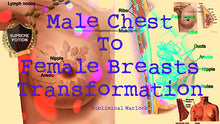 Load image into Gallery viewer, Male Chest To Female Breasts Transformation! MTF M2F HRT Transgender Subliminal - Subliminal Warlock