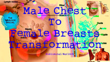 Load image into Gallery viewer, Male Chest To Female Breasts Transformation! MTF M2F HRT Transgender Subliminal - Subliminal Warlock