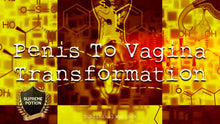 Load image into Gallery viewer, Penis To Vagina Transformation MTF HRT LGBT Transgender - Subliminal Warlock