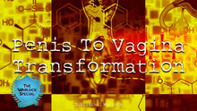 Load image into Gallery viewer, Penis To Vagina Transformation MTF HRT LGBT Transgender - Subliminal Warlock