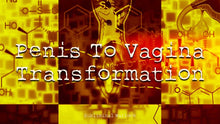 Load image into Gallery viewer, Penis To Vagina Transformation MTF HRT LGBT Transgender - Subliminal Warlock