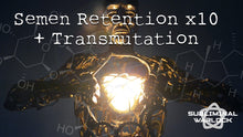 Load image into Gallery viewer, Semen Retention x10 + Sexual Transmutation Booster
