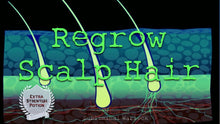Load image into Gallery viewer, Head Hair Regrowth! - Subliminals Frequencies Rife Hypnosis Biokinesis - Subliminal Warlock