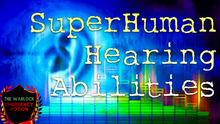 Load image into Gallery viewer, Get SuperHuman Hearing Abilities - Improve Hearing Fast!
