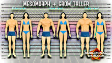 Load image into Gallery viewer, Become a Mesomorph + Grow Taller - Programmed Audio - Subliminal Warlock
