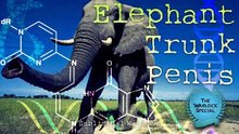 Load image into Gallery viewer, Get An Elephant Trunk Size PENIS Now! Subliminal Subconscious Hypnosis Monaural Beats Binaural Beats Biokinesis Potion
