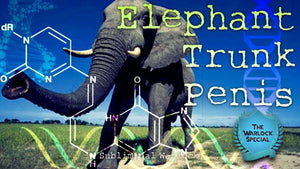 Get An Elephant Trunk Size PENIS Now! Subliminal Subconscious Hypnosis Monaural Beats Binaural Beats Biokinesis Potion