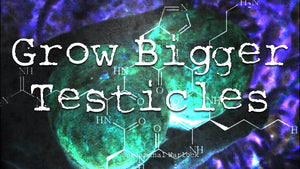 Grow Bigger Testicles - Programmed Audio Frequency