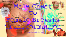 Load image into Gallery viewer, Male Chest To Female Breasts Transformation! MTF M2F HRT Transgender Subliminal - Subliminal Warlock
