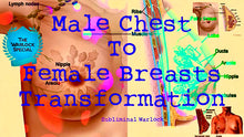 Load image into Gallery viewer, Male Chest To Female Breasts Transformation! MTF M2F HRT Transgender Subliminal - Subliminal Warlock
